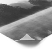 Bomen die verdwijnen in de ochtend mist boven het  poster (Hoek)