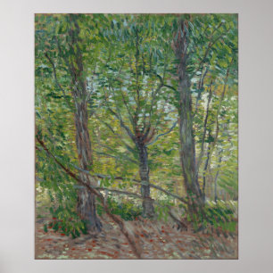 Bomen door Vincent Van Gogh Poster