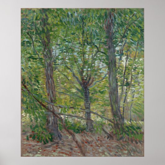 Bomen door Vincent Van Gogh Poster (Voorkant)