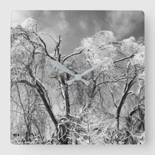 bomen draag vierkante klok