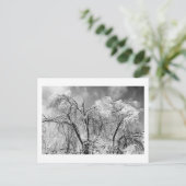 bomen draag winter briefkaart (Staand voorkant)