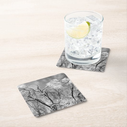 bomen draag winter kartonnen onderzetters (Insitu)