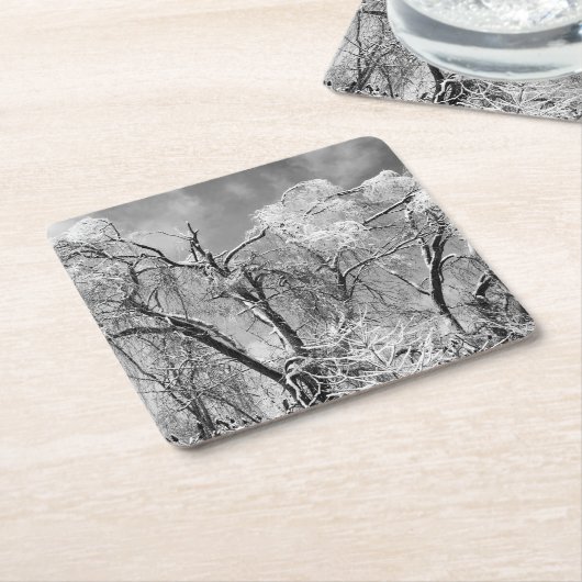 bomen draag winter kartonnen onderzetters (Schuin)