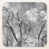 bomen draag winter kartonnen onderzetters (Voorkant)