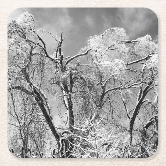 bomen draag winter kartonnen onderzetters (Voorkant)