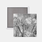 bomen draag winter magneet (Voorkant / Achterkant)