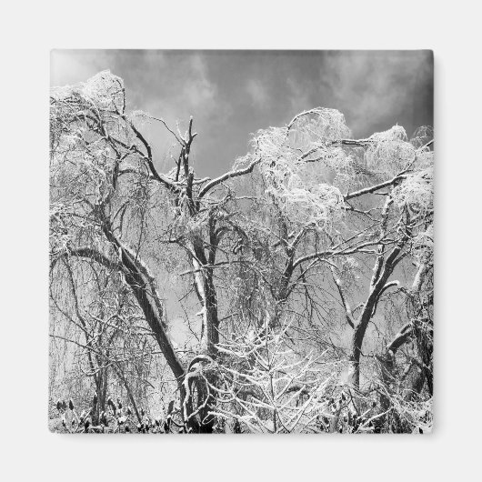 bomen draag winter magneet (Voorkant)