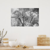 bomen draag winter poster (Keuken)