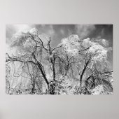 bomen draag winter poster (Voorkant)