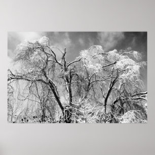 bomen draag winter poster