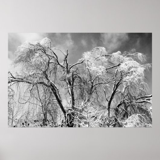 bomen draag winter poster (Voorkant)