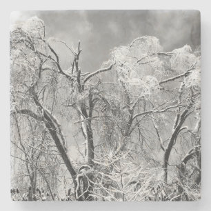 bomen draag winter stenen onderzetter