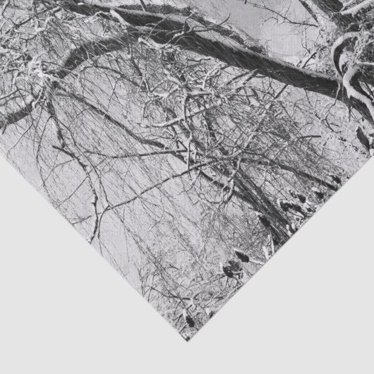 bomen draag winter tissuepapier (Detail)