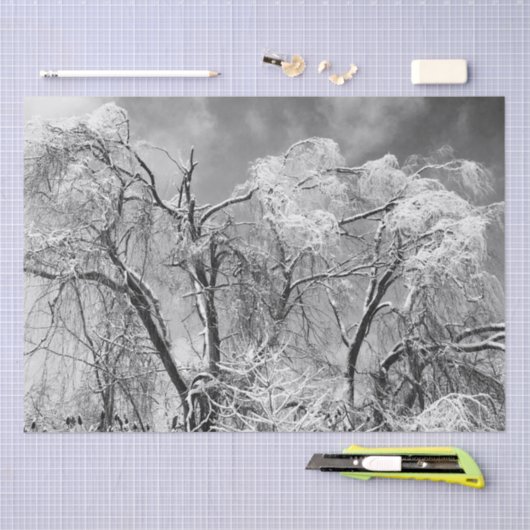 bomen draag winter tissuepapier (Craft)