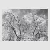 bomen draag winter tissuepapier (Voorkant)