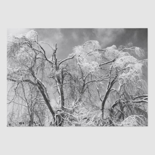 bomen draag winter tissuepapier (Voorkant)