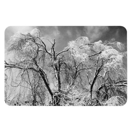 bomen dragen winter magneet (Horizontaal)