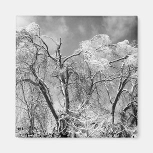 bomen dragen winter magneet