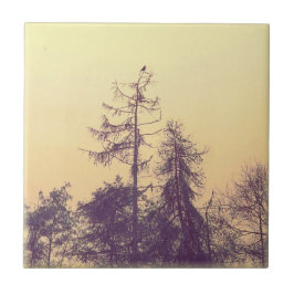 Bomen en een vogel tegeltje