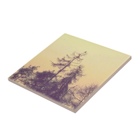 Bomen en een vogel tegeltje (Zijkant)