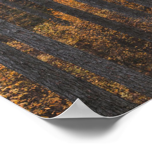 Bomen en goudherfstbladerbladeren poster (Hoek)