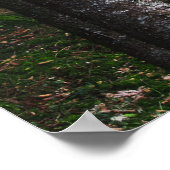 Bomen en groen mos poster (Hoek)