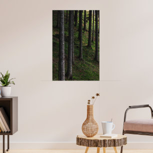Bomen en groen mos poster