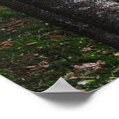 Bomen en groene mos poster (Hoek)