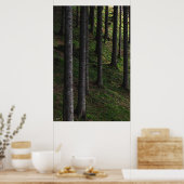 Bomen en groene mos poster (Keuken)