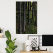 Bomen en groene mos poster (Thuiskantoor)