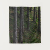 Bomen en groene mos wandkleed (Voorkant)