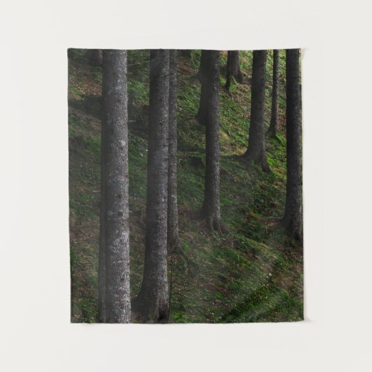 Bomen en groene mos wandkleed (Voorkant)