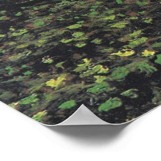 Bomen en ondergroei door het Poster Van Gogh (Hoek)