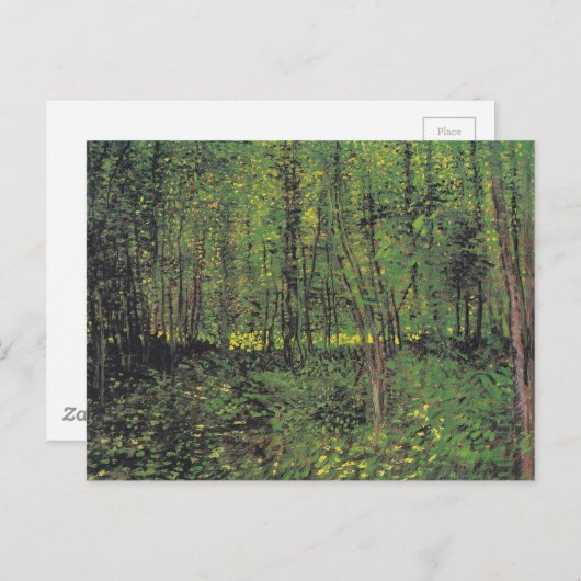 Bomen en ondergroei door Van Gogh Briefkaart (Voorkant / Achterkant)