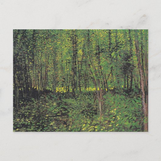 Bomen en ondergroei door Van Gogh Briefkaart (Voorkant)
