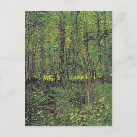 Bomen en ondergroei door Van Gogh Briefkaart (Voorkant)