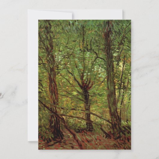 Bomen en ondergroei door Vincent van Gogh (Voorkant)