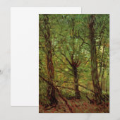 Bomen en ondergroei door Vincent van Gogh (Voorkant / Achterkant)