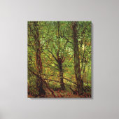 Bomen en ondergroei door Vincent van Gogh Canvas Afdruk (Voorkant)