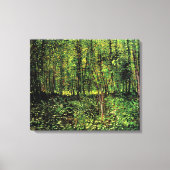 Bomen en ondergroei door Vincent van Gogh Canvas Afdruk (Voorkant)