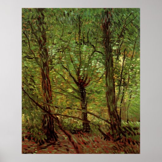 Bomen en ondergroei door Vincent van Gogh Poster (Voorkant)