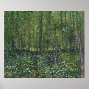 Bomen en ondergroei door Vincent Van Gogh Poster