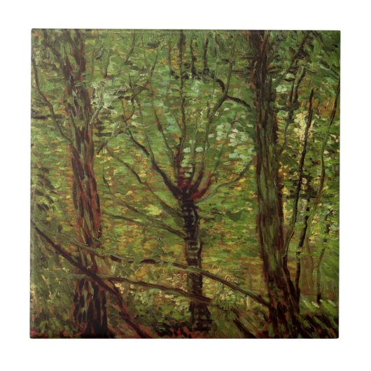 Bomen en ondergroei door Vincent van Gogh Tegeltje (Voorkant)
