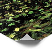 Bomen en ondergroei poster (Hoek)