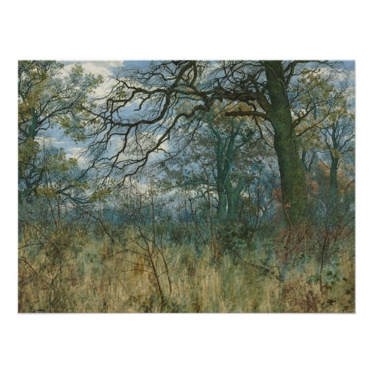 Bomen en ondergroei - William Fraser-tuin Perfect Poster (Voorkant)