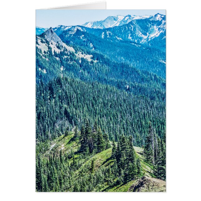 Bomen en Ridges (Voorkant)