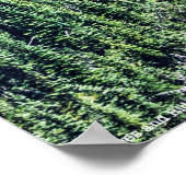 Bomen en Ridges Poster (Hoek)