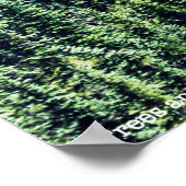 Bomen en Ridges Poster (Hoek)