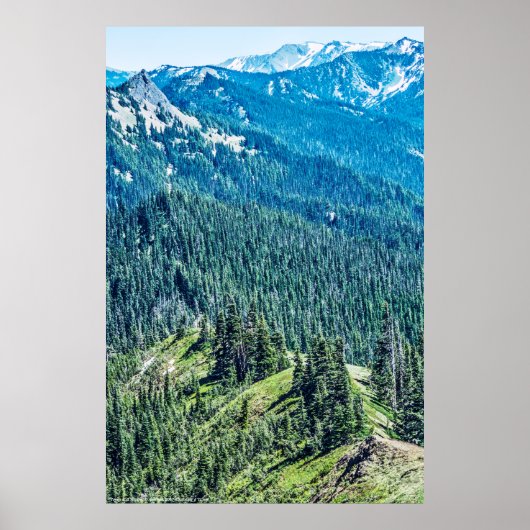 Bomen en Ridges Poster (Voorkant)