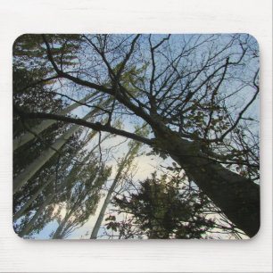 Bomen en Sky of Uw Foto Muismat